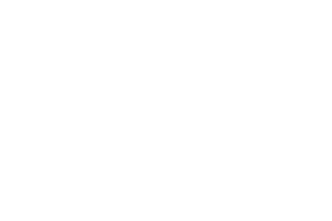 Logo Bani si Afaceri