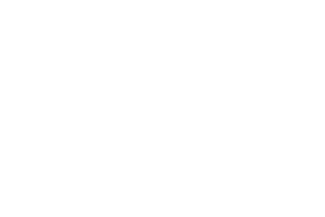 Logo Jurnalul National