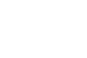 Logo Portal Management